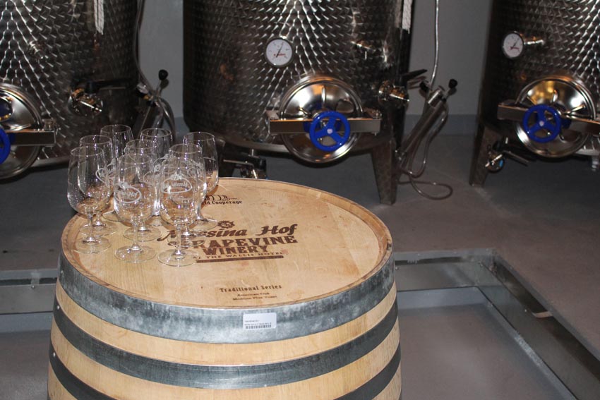 Grapevine wine train (73)