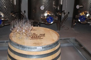 Grapevine wine train (73)