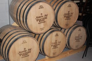 Grapevine wine train (74)