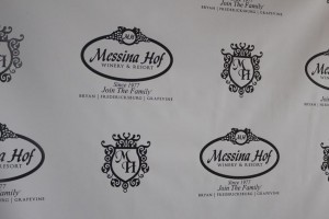 Grapevine wine train (77)