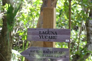 PuntaCanaDR (100)