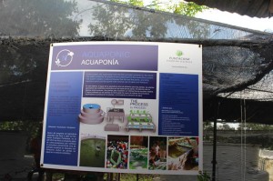 PuntaCanaDR (72) 