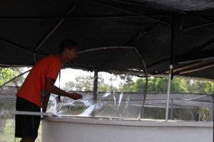 PuntaCanaDR (75) 