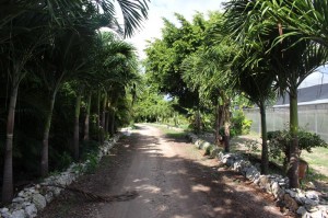 PuntaCanaDR (85)