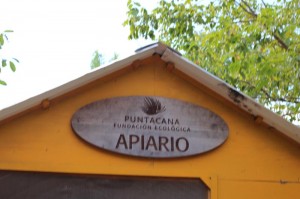 PuntaCanaDR (91)