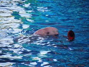 san antonio staycation (21)