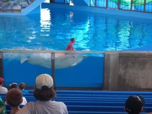 san antonio staycation (51)