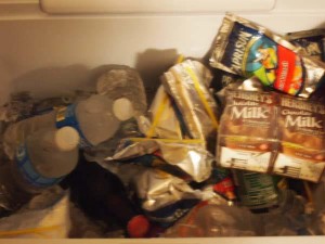 san antonio staycation (53)