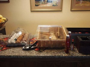 san antonio staycation (55)