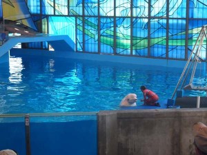 san antonio staycation (65)