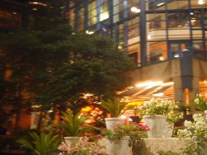 san antonio staycation (69)