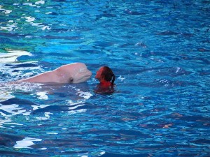 san antonio staycation (70)