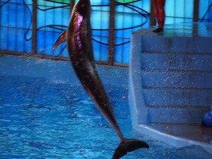 san antonio staycation (72)