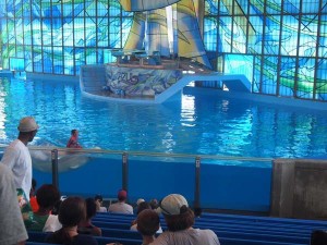 san antonio staycation (75)