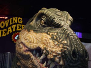 san antonio staycation (81)