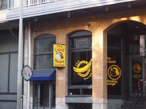san antonio staycation (9)